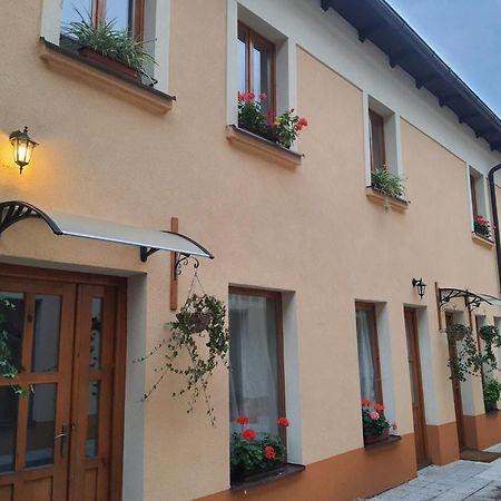 Apartmany Johanka Nachod Bagian luar foto